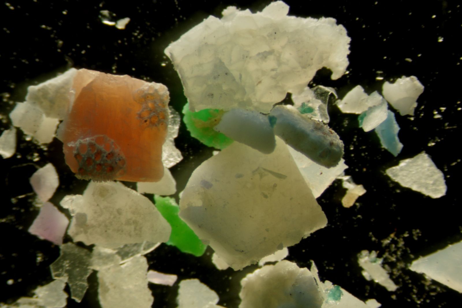 UCA Marine Litter Research Group (MALUCA)